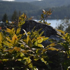 I Cannot Stop $L33PL3$$, $chemma prod. Berty Boy