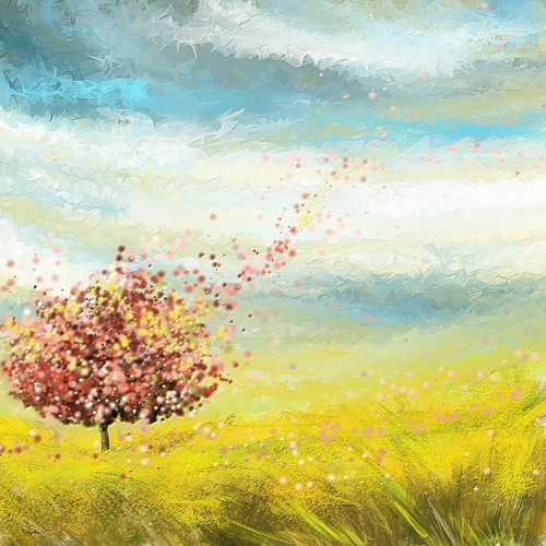 Trouver La Paix (Finding peace)