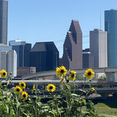 Feeling you [prod. @peezyontheb]