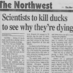 Wednesday(feat. HRV Je77a)