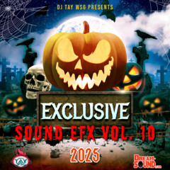DJ TAY WSG - EXCLUSIVE SOUND EFX VOL.10 2025 (AUDIO PREVIEW)