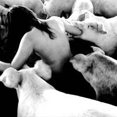 tu t'es bien amusé!