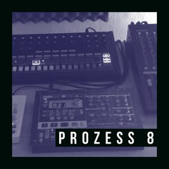 Prozess 8