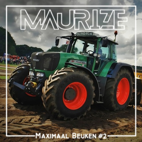 Maximaal beuken #2 | Maurize