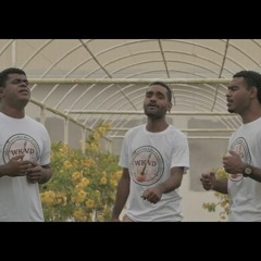 Fijian hits