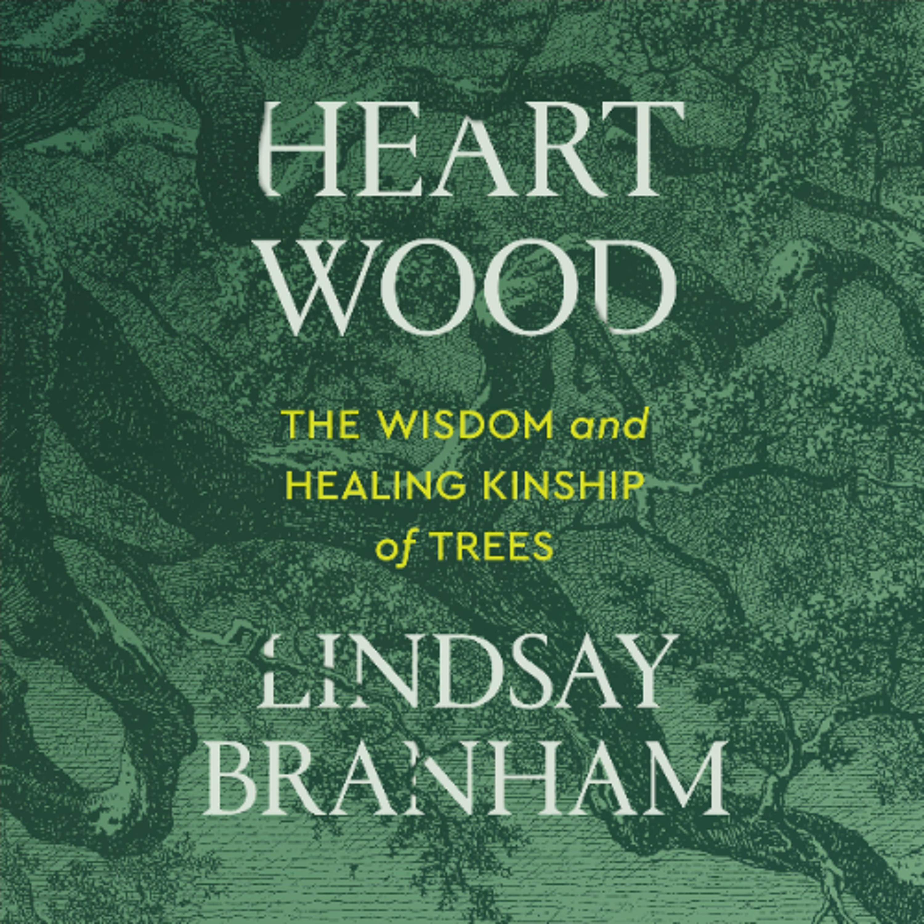 Heartwood by Lindsay Branham, PhD Read by Lindsay Branham, PhD episode artwork