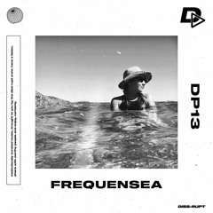 DP13 - FREQUENSEA