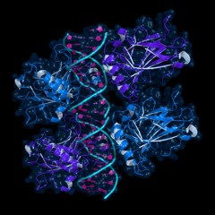 A New Path to Tumor Suppression: The Promise of PG3