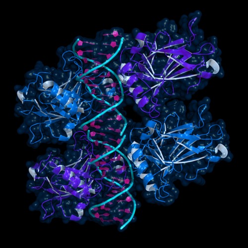 A New Path to Tumor Suppression: The Promise of PG3