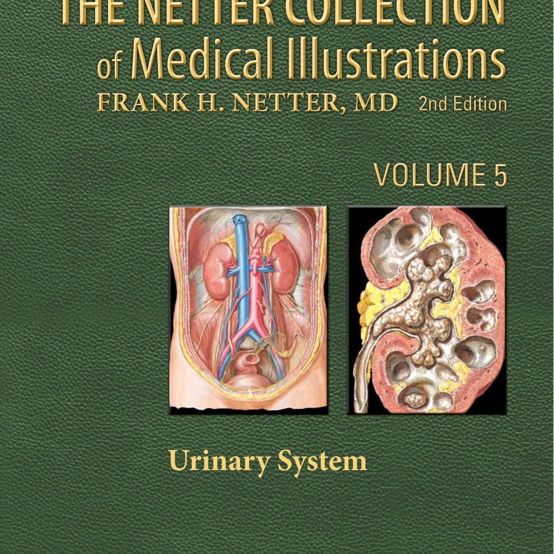 Stream [EBOOK] The Netter Collection of Medical Illustrations: Urinary ...