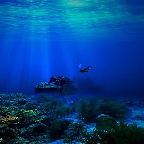 Subaquatic Hybrid Disquiet0582