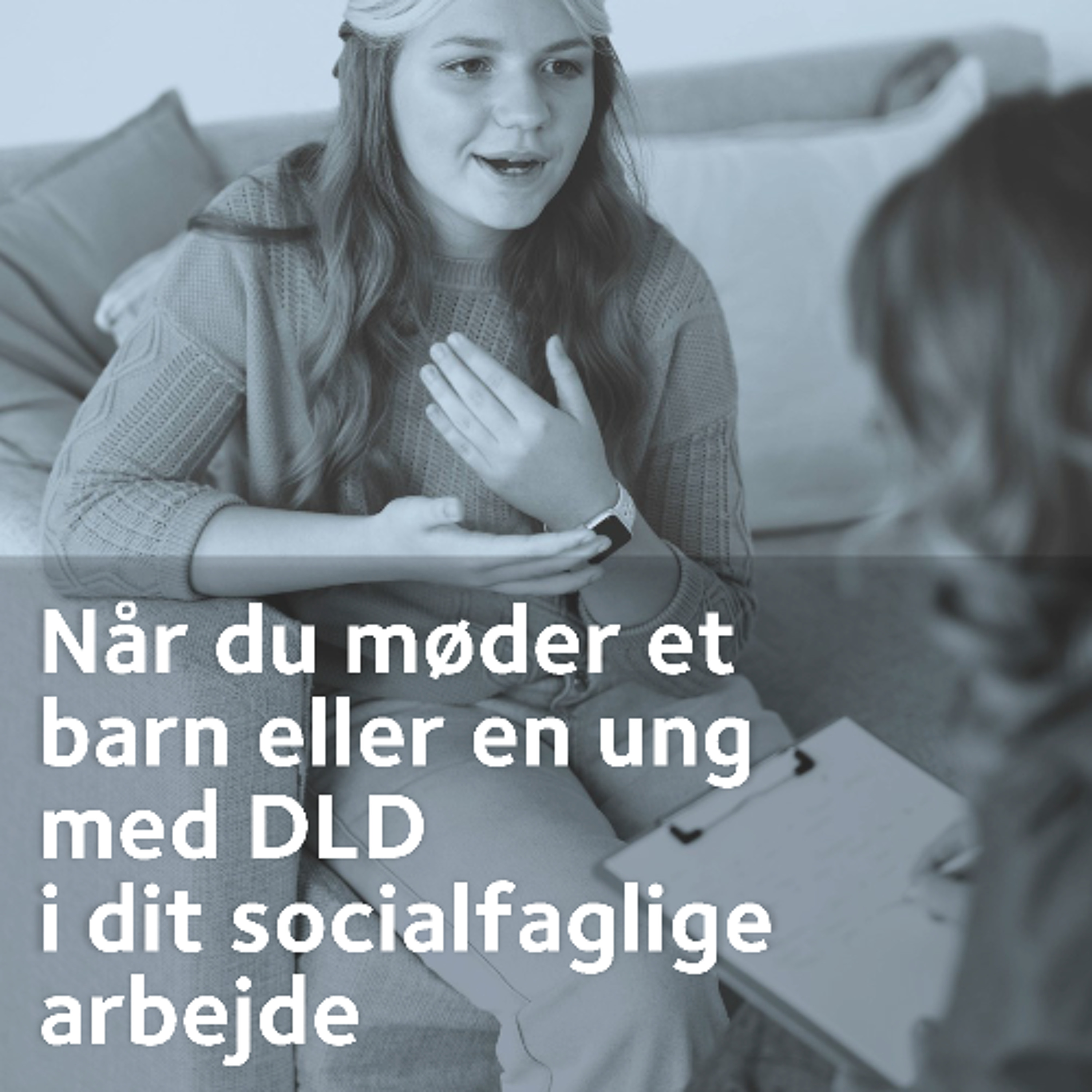 Social- og Boligstyrelsen