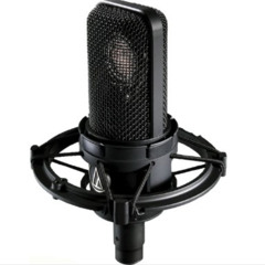 40_dollar_mic