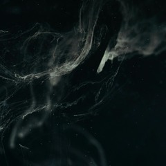 Loïc Ducray - Infiltration