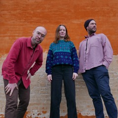 Le Désespoir Du Singe - live @ Faux La Montagne