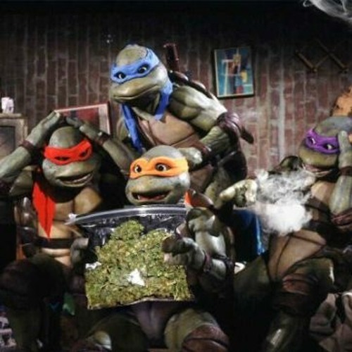 Ninja Turtles Bong Rips