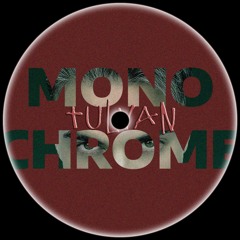 TULVAN - Monochrome (Original Mix)