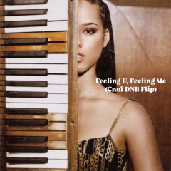 Alicia Keys - Feeling U, Feeling Me (Cnof Dnb Flip)