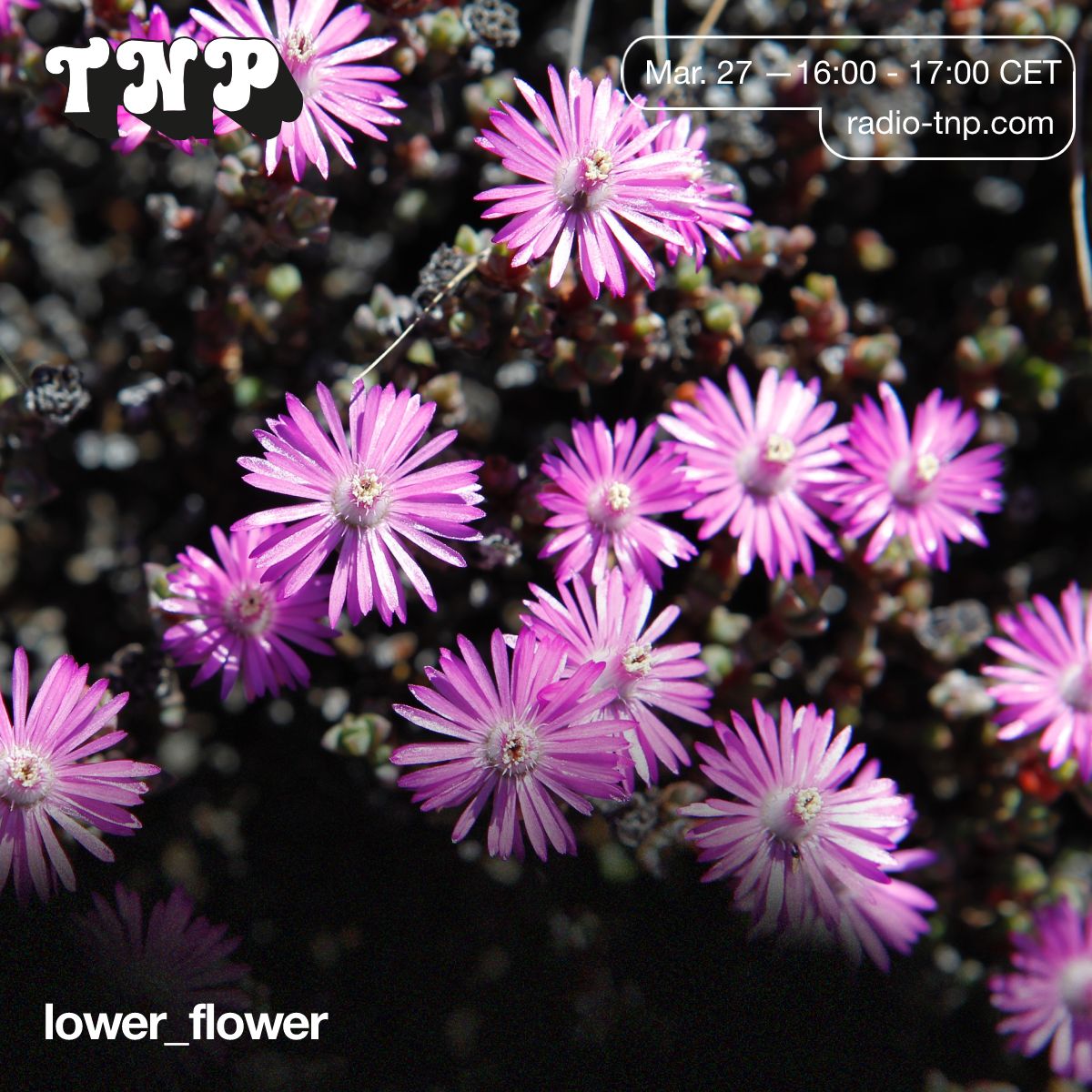 lower_flower