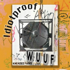 PREMIERE: Idiotproof - Wuuf