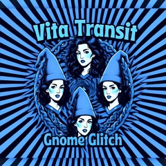 VITA TRANSIT