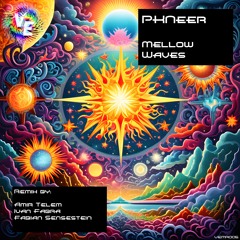 Premiere: PKNeer - Mellow Waves [Viva Electronica Music]