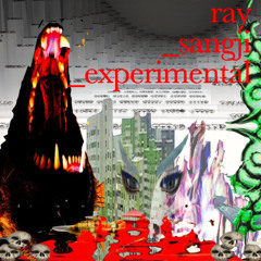 ray_sangji_experimental_250114