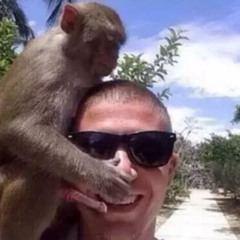 te meg én a fán🦧