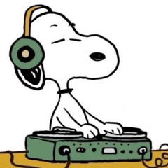 gustu electrohits 2025