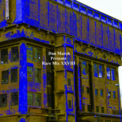 Rare Mix XXVIII