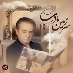Sarzamin Madari (Bir-Music.com)