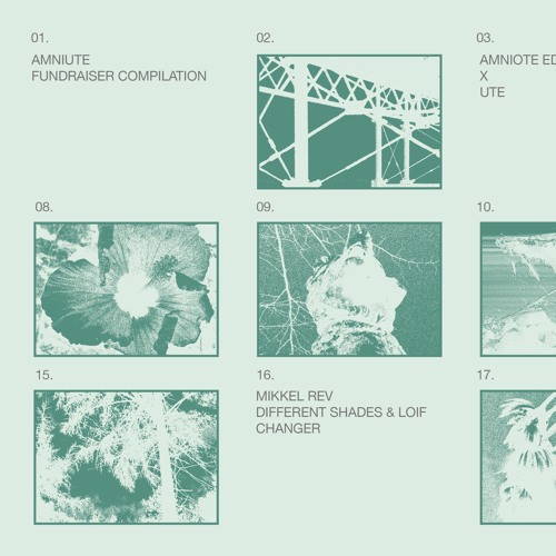 Different Shades & LOIF - Outer Planet [Amniote X Ute]