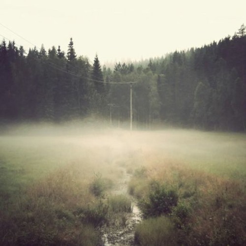 Ambientstudymusic background loop 📺FREE DOWNLOAD