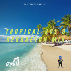 Tropical Mix Vol. 3 (Reggaeton Mix)