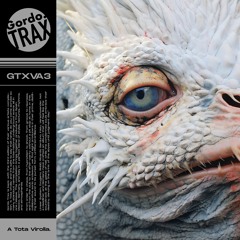 GTX V.A - A TOTA VIROLLA Vol03 (Snippets) Linear System, Oxygeno, RNGD, Ricardo Garduno...