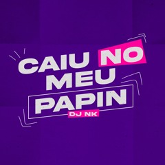CAIU NO MEU PAPIN vs CHAPADÃO DE WISK ((DJ NK))