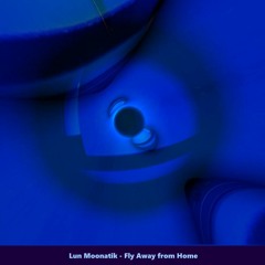 Fly Away from Home