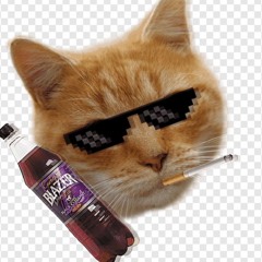 Meowington - Pathos Key