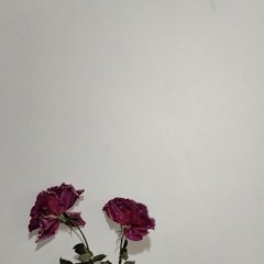 roses (zachcs b6)