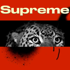 FVCK ERROR & DJ FUNSO-SUPREME