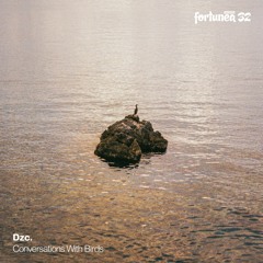 OUT NOW! [fortunea032] Dzc. - Conversations with Birds