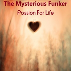 The Mysterious Funker - Passion For Life