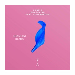 Lane 8 Grapevine Feat.Elderbrook (Adam Ani Remix)