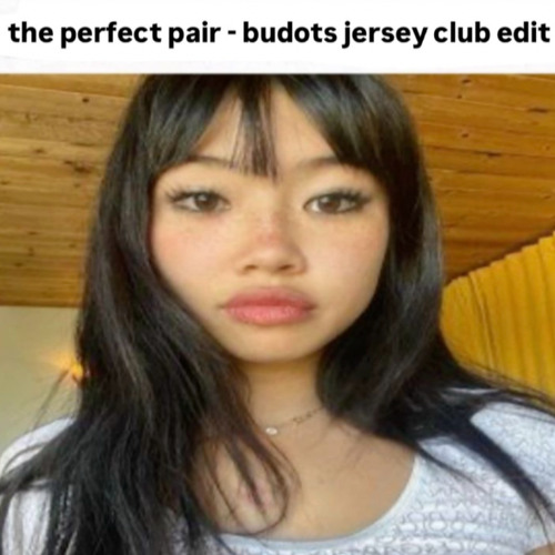 the perfect pair (BUDOTS JERSEY CLUB EDIT) (PITCHED) *FREE DL*