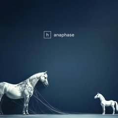 Horse & Pony - Anaphase