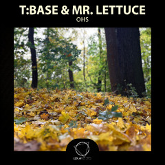 T:Base & Mr. Lettuce - OHS (Lizplay Records)