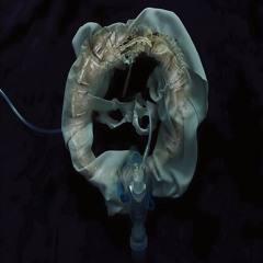 (° ˃̣̣̥⌓˂̣̣̥ ) ಥ_ಥ November  (° ˃̣̣̥⌓˂̣̣̥ )