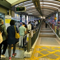 11 Mid-levels Escalator in Central station