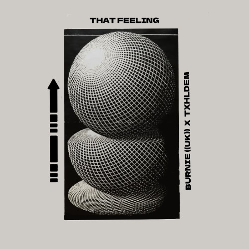 Burnie (UK) x TXHLDEM - That Feeling