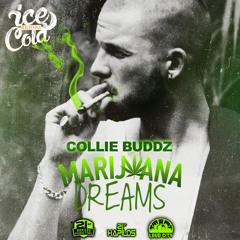 Marijuana Dreams